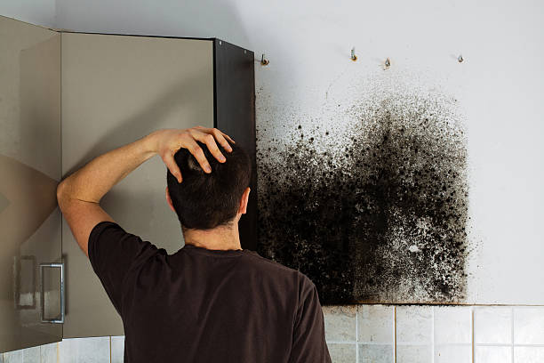 Best Crawl Space Mold Removal  in Weyers Cave, VA